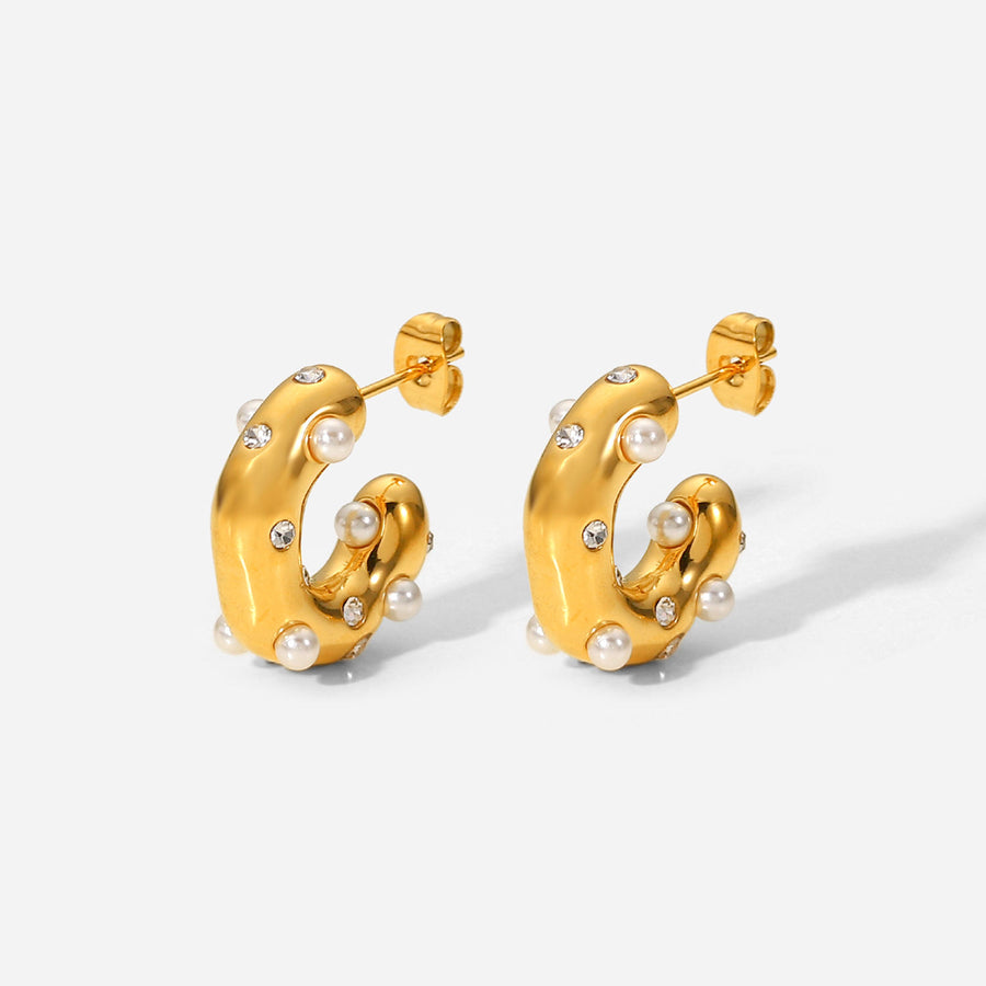 Earrings 13
