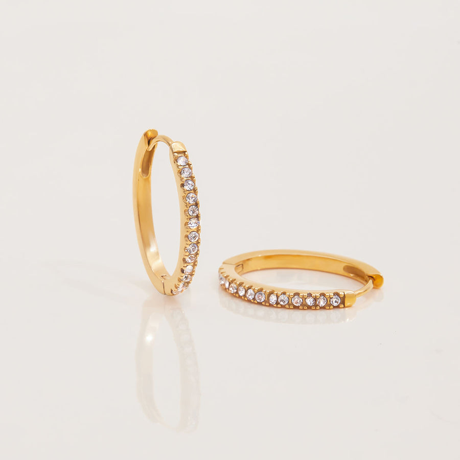 Earrings 16