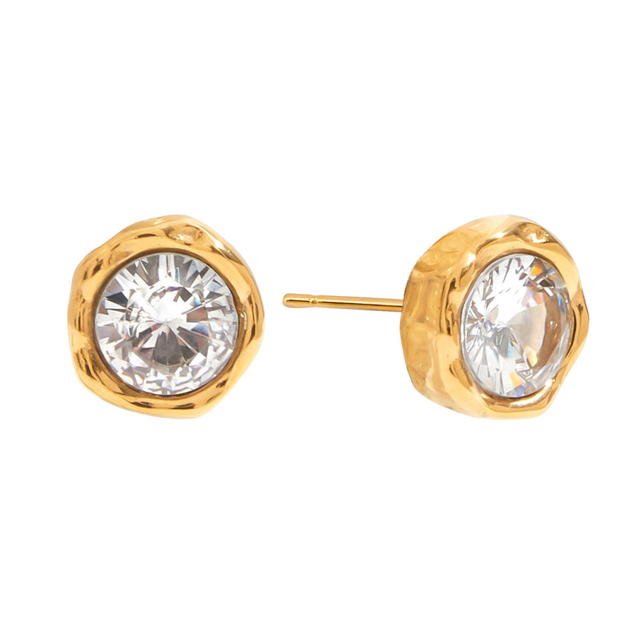Earrings 17