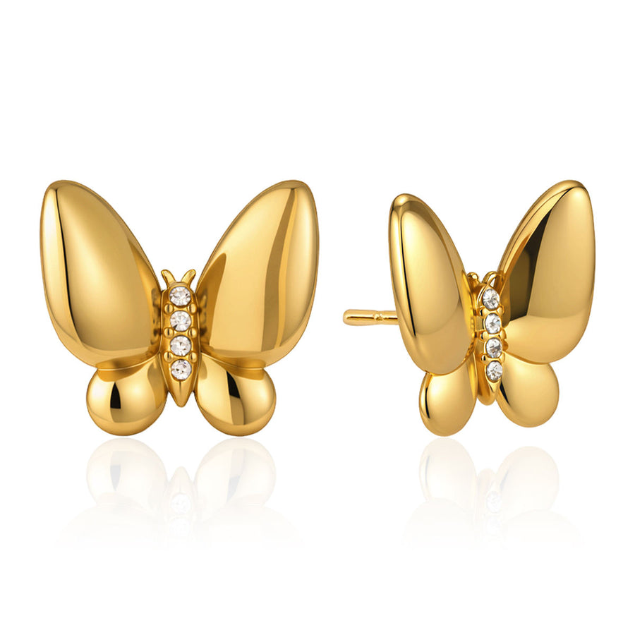 Earrings 21