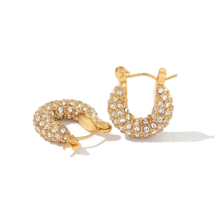 Earrings 04